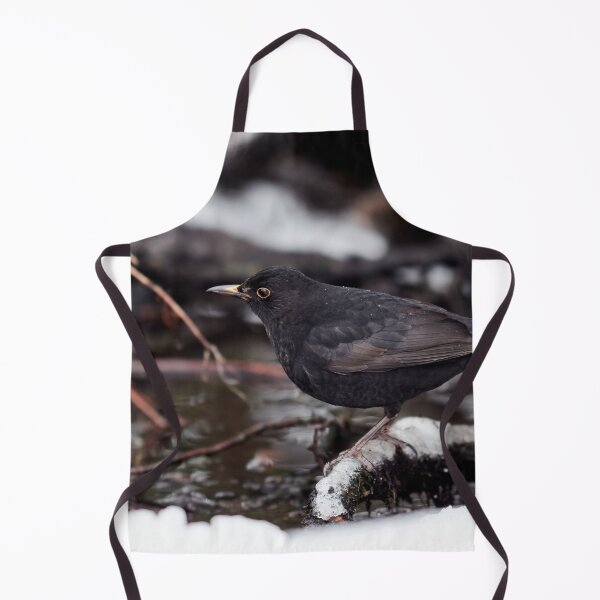 Item preview, By the dark brook. Eurasian blackbird designed and sold by Jouko Lehto Photography.