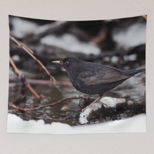 Item preview, By the dark brook. Eurasian blackbird designed and sold by Jouko Lehto Photography.
