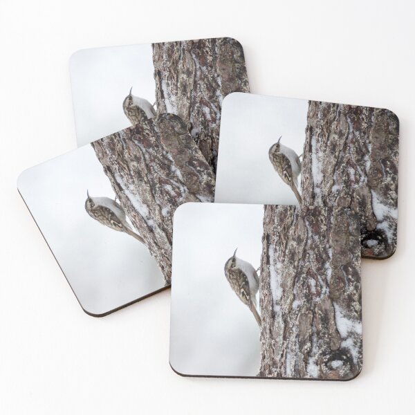 Item preview, Wintertime habits. Eurasian treecreeper designed and sold by Jouko Lehto Photography.