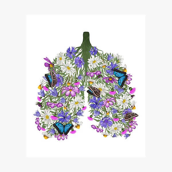 "Natures Breath floral butterflies lungs,Lung Anatomy and Flowers Art