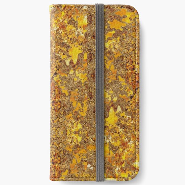 SEGMENTATION 8 iPhone Wallet