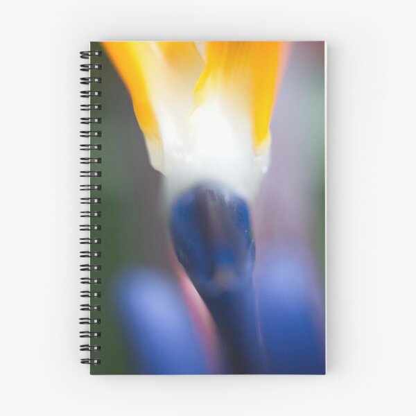 Item preview, Bird of Paradise designed and sold by Tristan Barrington Photography.