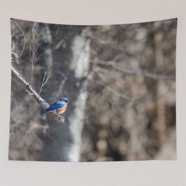 Item preview, Eastern Bluebird on the Wooded Trail by Debra Martz designed and sold by Debra Martz.