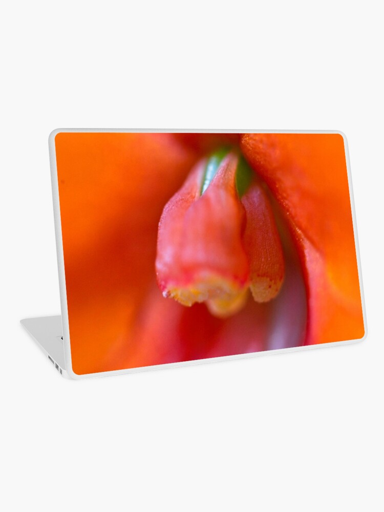Thumbnail 1 of 2, Laptop Skin, Erotic designed and sold by blackmamba5.