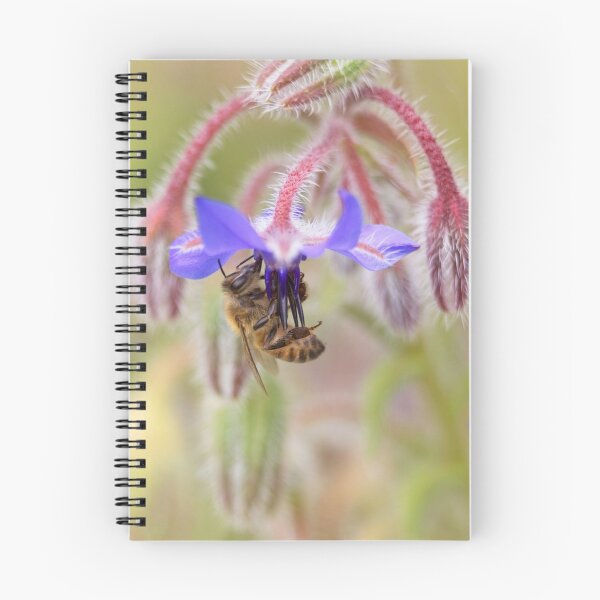 Item preview, Bee designed and sold by Tristan Barrington Photography.
