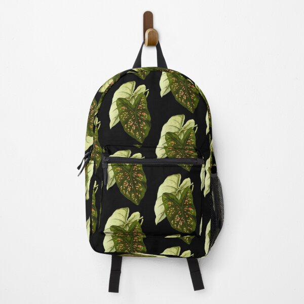 Item preview, Caladium Freckles - botanical illustration designed and sold by chimakingthings.