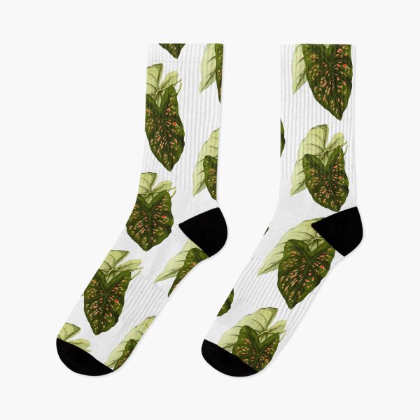 Item preview, Caladium Freckles - botanical illustration designed and sold by chimakingthings.