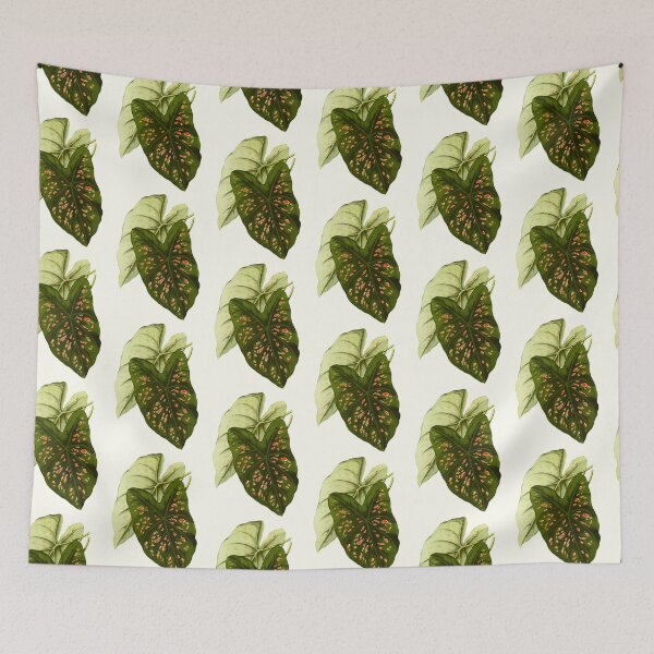 Item preview, Caladium Freckles - botanical illustration designed and sold by chimakingthings.