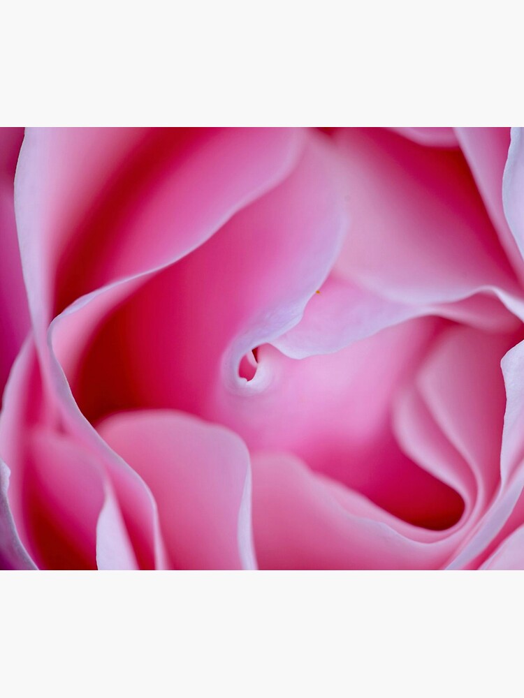 Thumbnail 5 of 5, Mouse Pad, Rose designed and sold by blackmamba5.