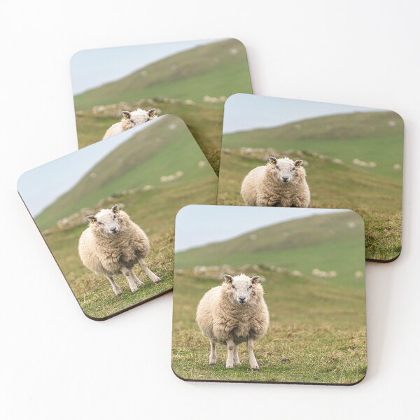 Item preview, Staring Sheep designed and sold by StewieStrout.