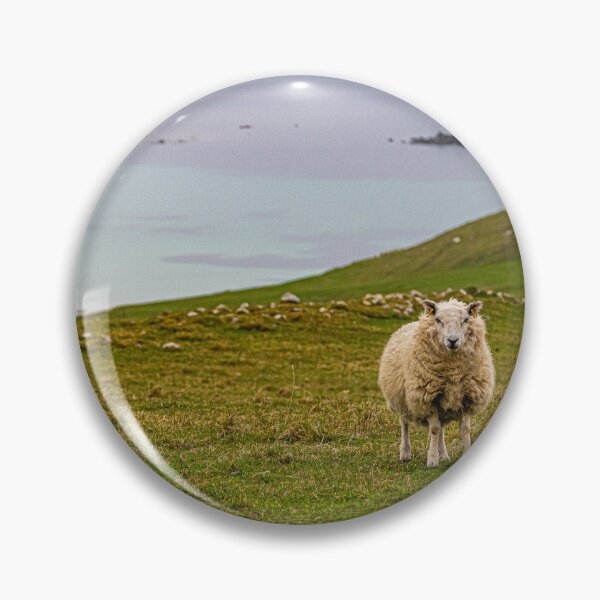 Item preview, So Much Wool designed and sold by StewieStrout.