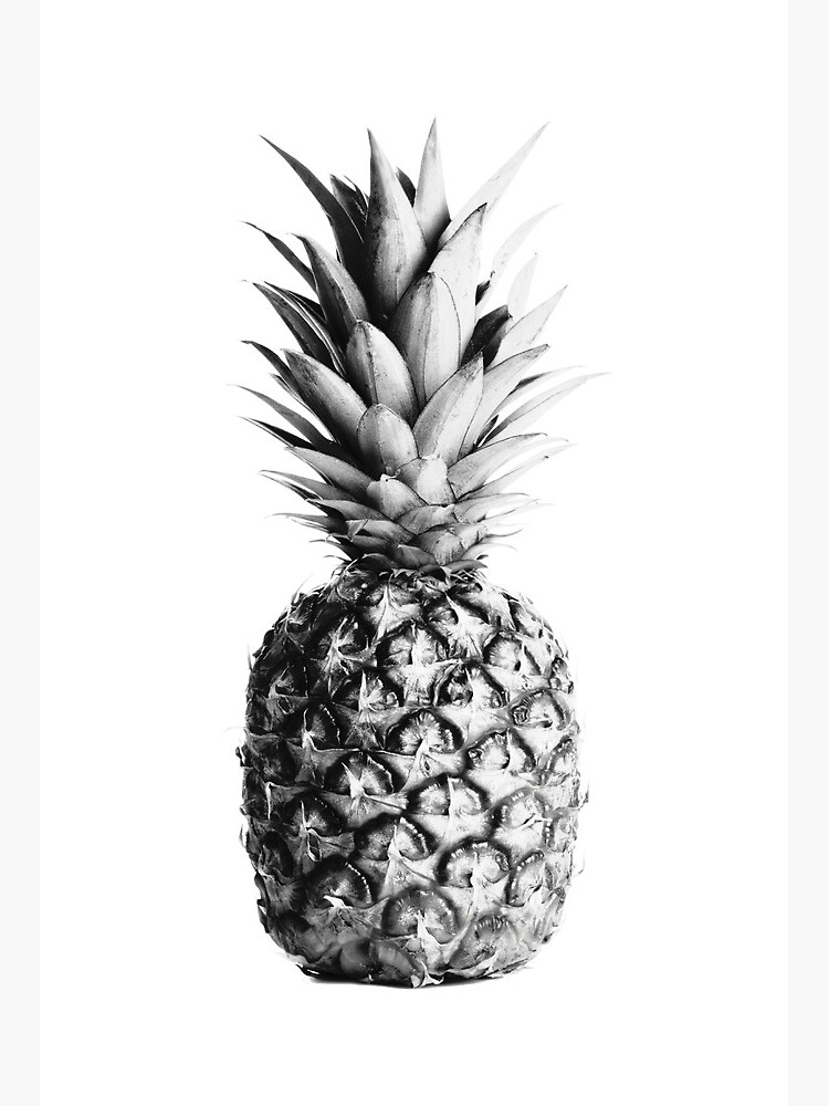 black and white pineapple wall art