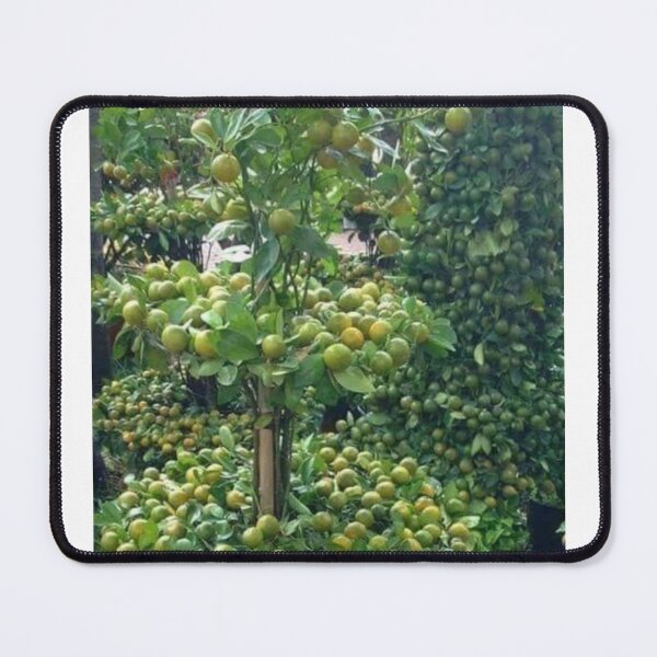 Item preview, Potted Orange Orchard designed and sold by Saiamrita123.