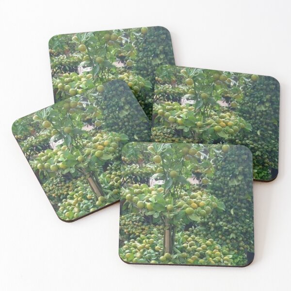 Item preview, Potted Orange Orchard designed and sold by Saiamrita123.