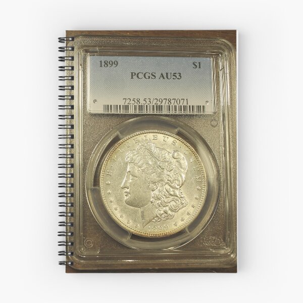 Item preview, 1899 PCGS AU53 $1 designed and sold by coinsxcrochet.