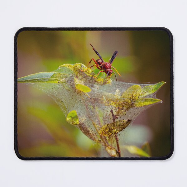 Item preview, Red Wasp Feast designed and sold by Dead-Moroz.