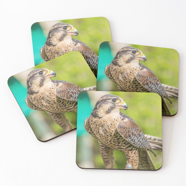 Item preview, Resting Hawk designed and sold by StewieStrout.