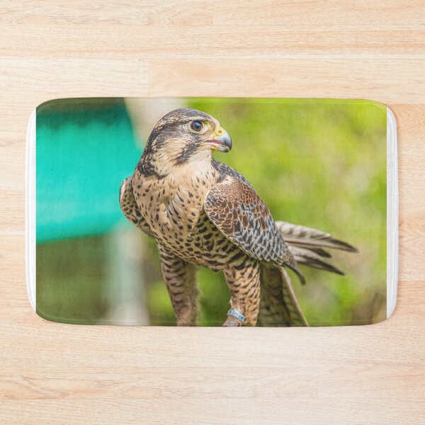 Item preview, Resting Hawk designed and sold by StewieStrout.