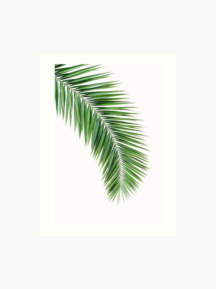 Palm leaf wall decor, printable leaf palm, printable palm leaf, palm leaf printable, palm leaf poster, palm leaf wall artwork, palm tree print Artwork Print picture relating to Printable Wall Decor identify Palm leaf wall decor, printable leaf palm, printable palm leaf, palm leaf printable, palm leaf poster, palm leaf wall artwork, palm tree print Artwork Print