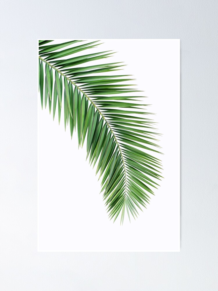 Tropical Leaf Print