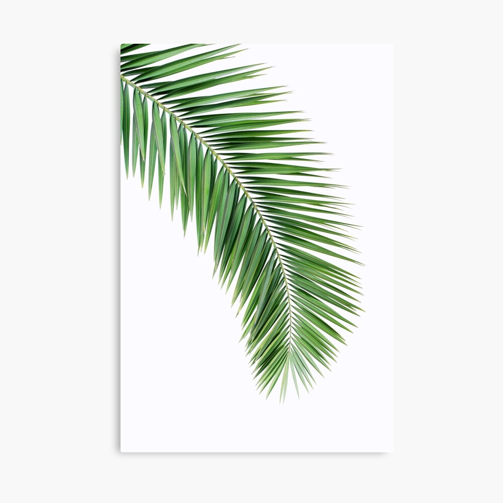 Wall art print Palm leaf decor Watercolor print Printable art Leaf print Black and white art Botanical prints Palm tree print