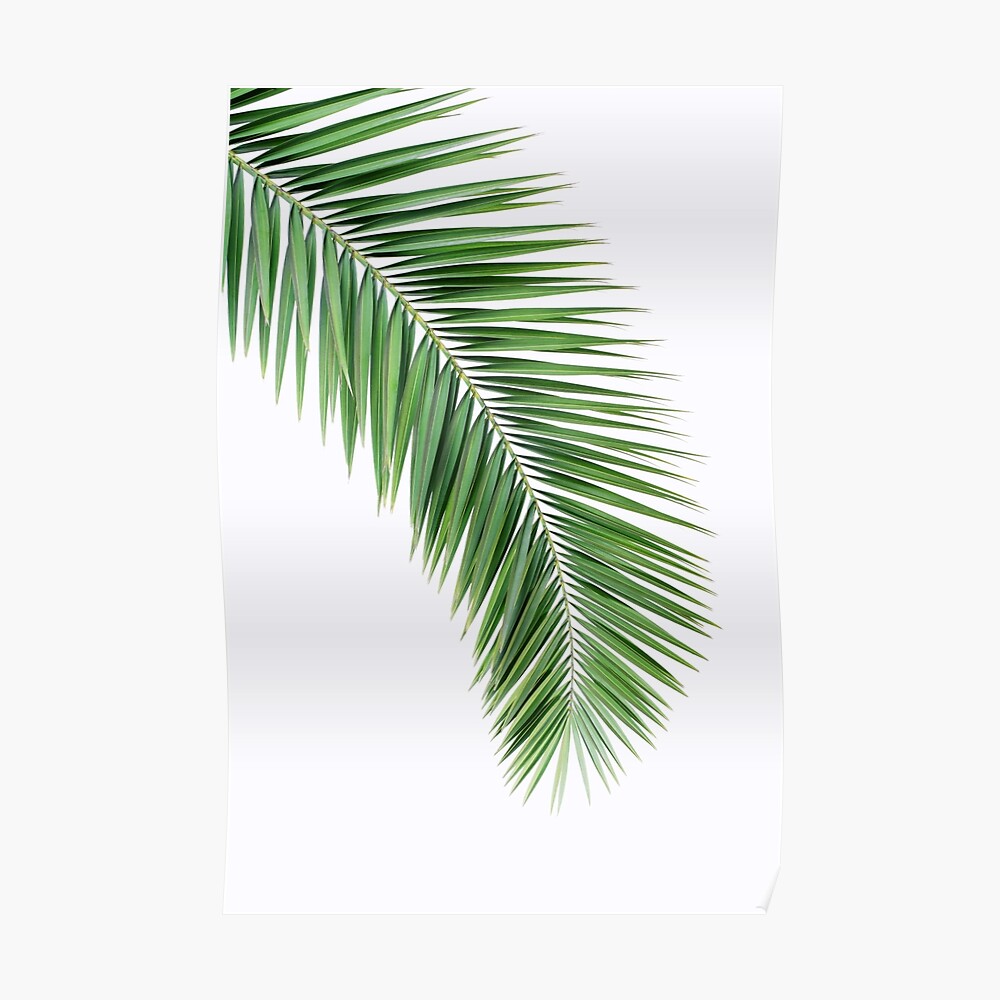 Palm leaf wall decor, printable leaf palm, printable palm leaf, palm leaf printable, palm leaf poster, palm leaf wall artwork, palm tree print Poster photo regarding Palm Tree Printable identify Palm leaf wall decor, printable leaf palm, printable palm leaf, palm leaf printable, palm leaf poster, palm leaf wall artwork, palm tree print Poster