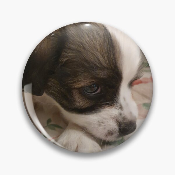 Item preview, Puppy in the bed designed and sold by LittleCountess.