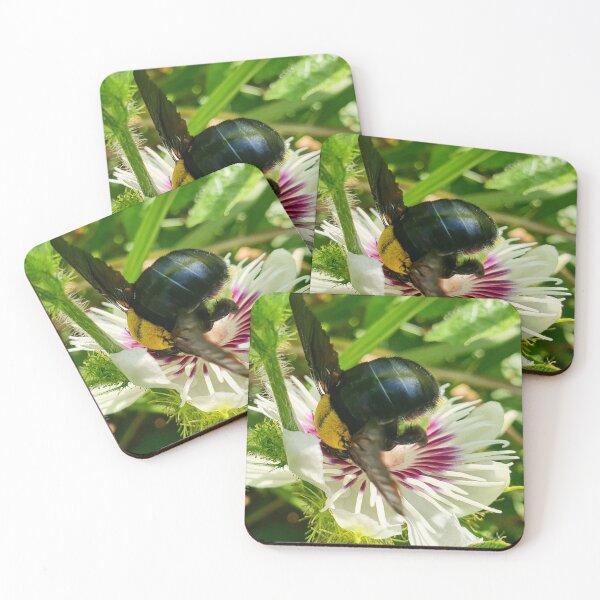 Item preview, Bumblebee designed and sold by Tristan Barrington Photography.