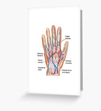 Anatomy of back of human hand. Greeting Card