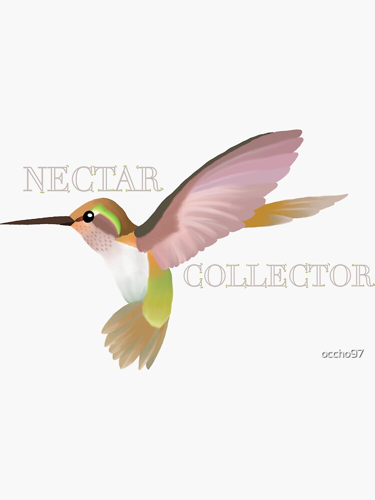 "Hummingbird Nectar Collector" Sticker by occho97 Redbubble