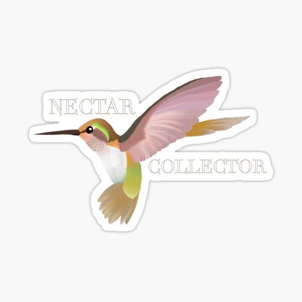 "Hummingbird Nectar Collector" Sticker by occho97 Redbubble