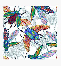 Beetles and flies Photographic Print