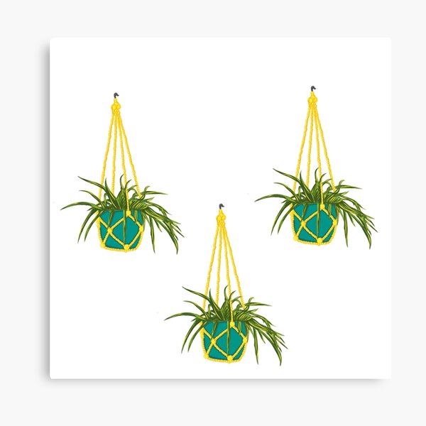 Item preview, Hanging Planters designed and sold by ohsomenerd.