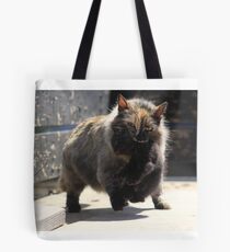 Time To Evacuate Tote Bag