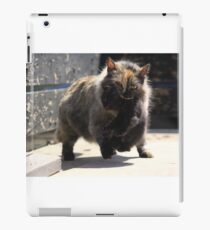 Time To Evacuate iPad Case/Skin