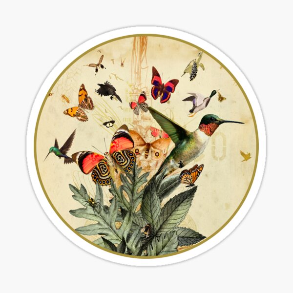 The Lift Away - Hummingbird and butterfly collage Sticker