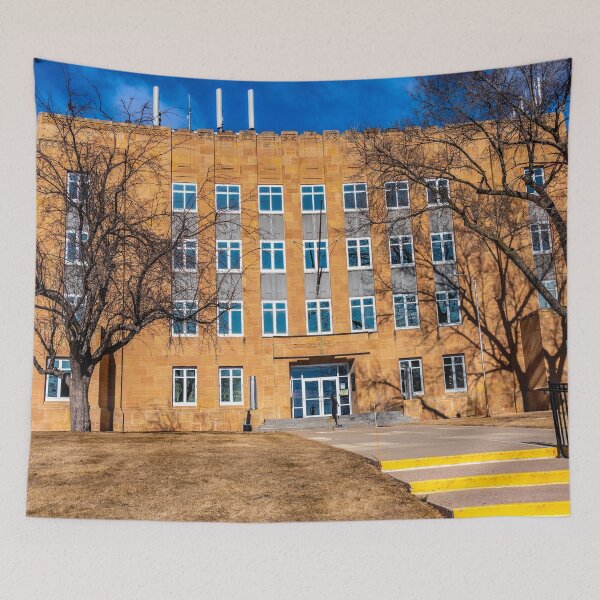 Item preview, The Davison County (South Dakota) Court House designed and sold by Bryan Spellman.