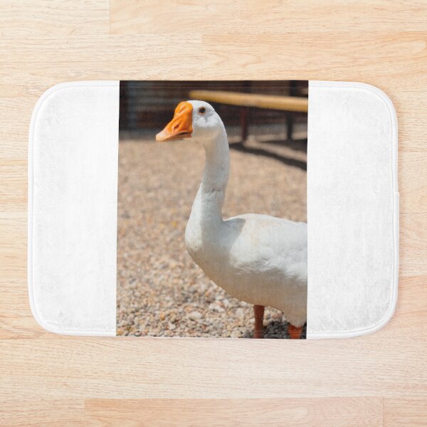 Artikelvorschau, Ente Ente Gans entworfen und verkauft von SLSPhoto.