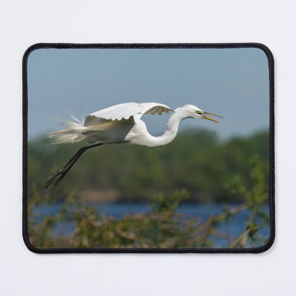 Item preview, Great Egret 2014-16 designed and sold by Thomasyoung.