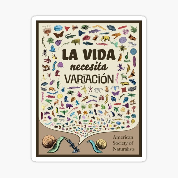 Life Needs Variation (Spanish; Light) Sticker
