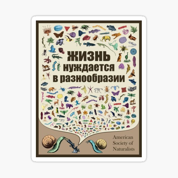 Life Needs Variation (Russian; Light) Sticker
