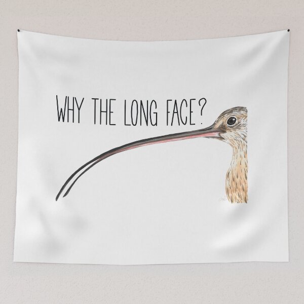 Item preview, Why The Long Face? (Long-billed Curlew) designed and sold by LauraWolfArtist.