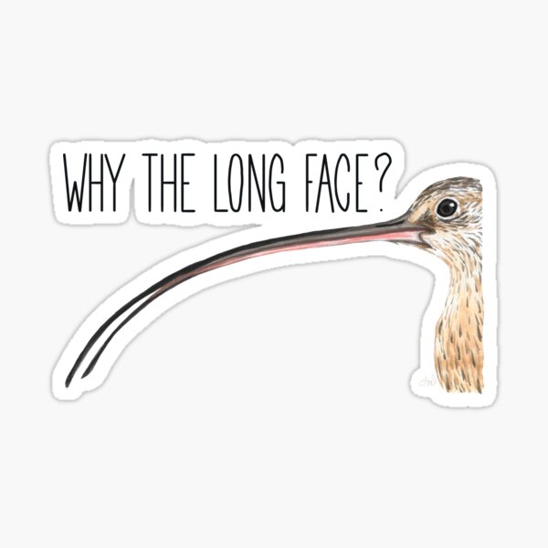Item preview, Why The Long Face? (Long-billed Curlew) designed and sold by LauraWolfArtist.