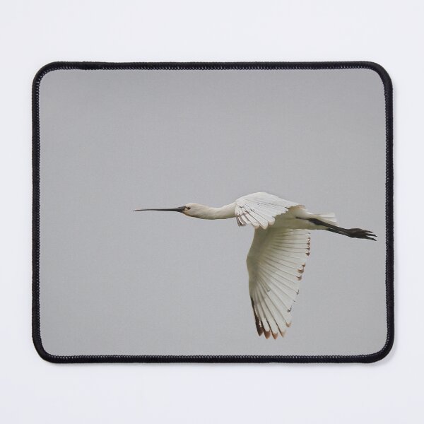 Item preview, streamline flight designed and sold by miradorpictures.