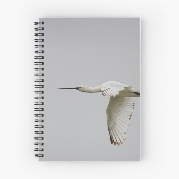 Item preview, streamline flight designed and sold by miradorpictures.