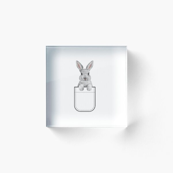 Artikelvorschau, Rabbit in a pocket entworfen und verkauft von ankerettich.