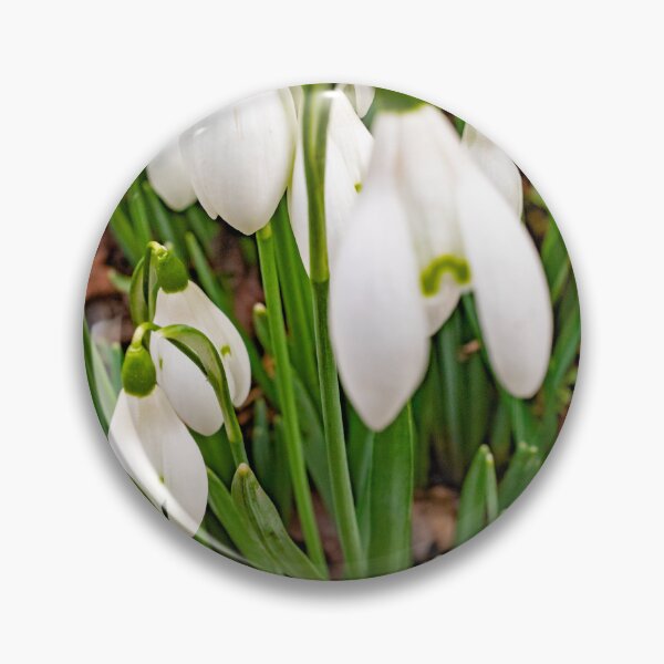 Item preview, Winter snowdrops designed and sold by yackers1.