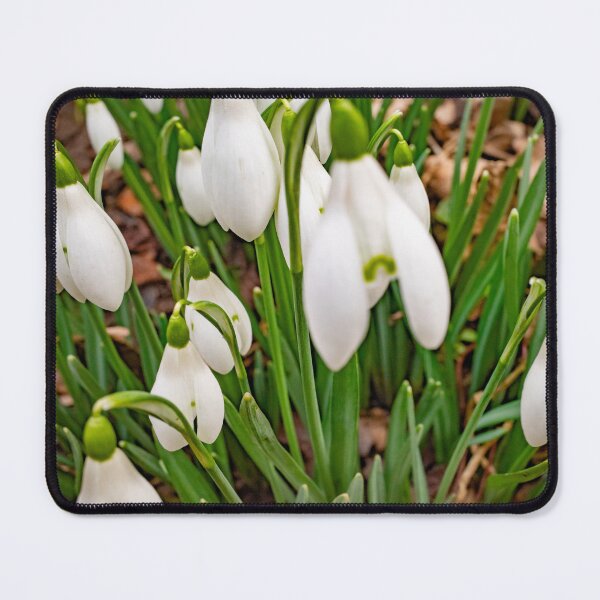 Item preview, Winter snowdrops designed and sold by yackers1.