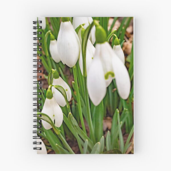 Item preview, Winter snowdrops designed and sold by yackers1.