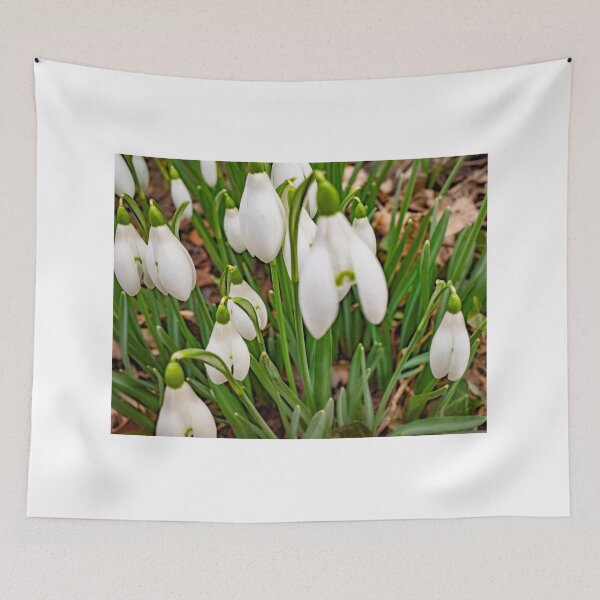 Item preview, Winter snowdrops designed and sold by yackers1.